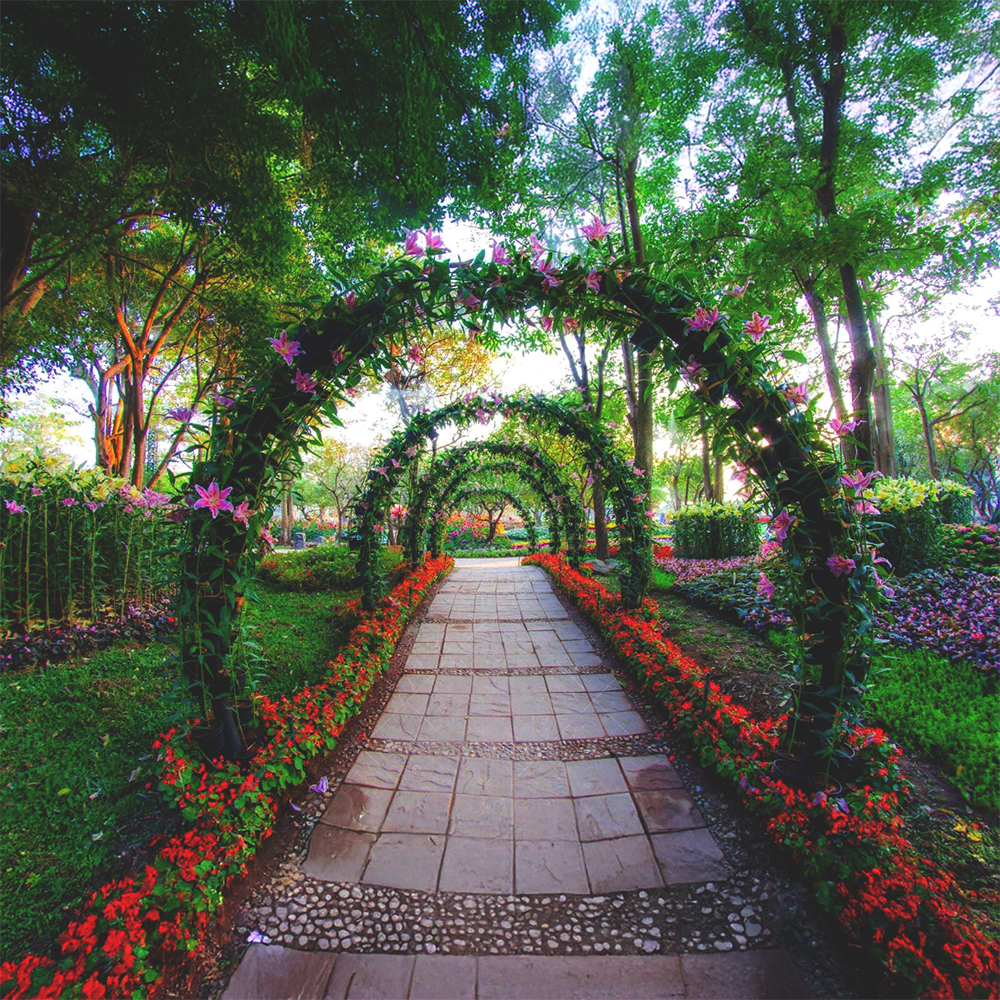 Arbuști ornamentali
